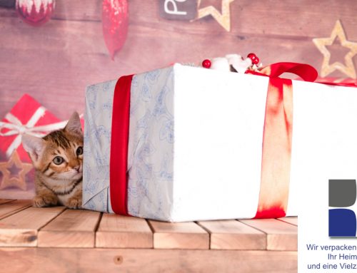 Haben Sie Ihre Geschenke schon verpackt?