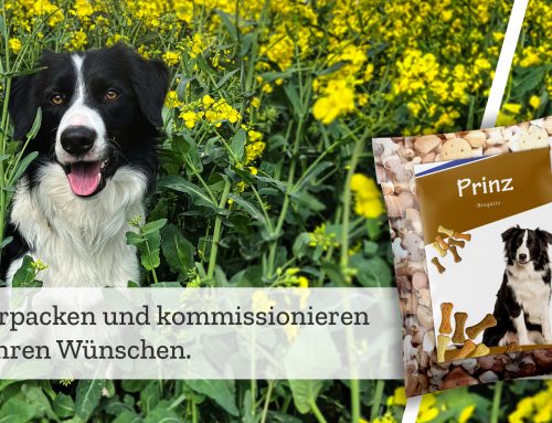 Verpackungskunst für tierisches Wohl: Die wahre Essenz von Heimtierfutter.
